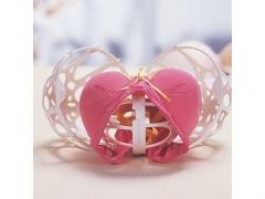 kula do prania biustonosz buble bra bra saver