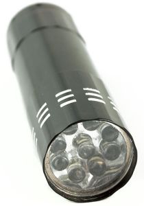KX395918428