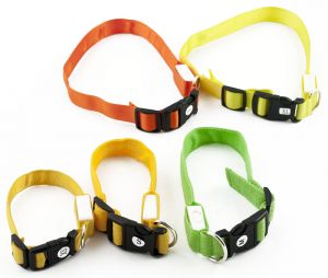 Obroża z diodami LED rozmiar M max 51cm