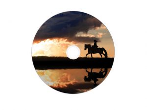 DVD+R VERBATIM 8.5GB X8 DOUBLE LAYER PRINTABLE (10 JEWEL CASE)